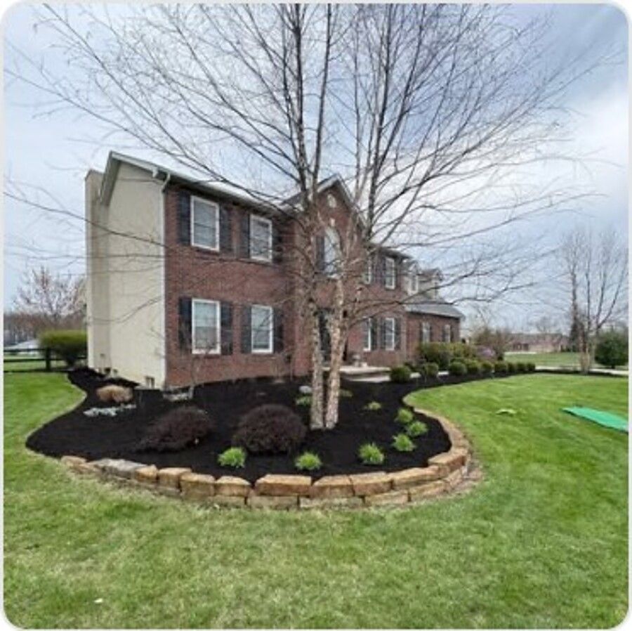 Tree and mulch ring at a brick home